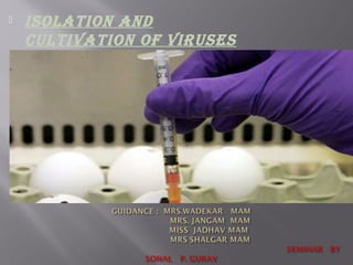  ISOLATION AND
CULTIVATION OF VIRUSES
 