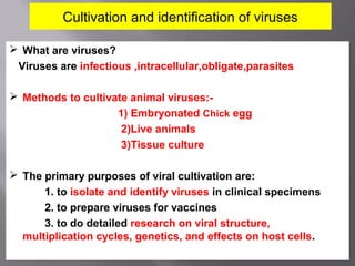 Cultivation and identification of viruses
 What are viruses?
Viruses are infectious ,intracellular,obligate,parasites
 Methods to cultivate animal viruses:-
1) Embryonated Chick egg
2)Live animals
3)Tissue culture
 The primary purposes of viral cultivation are:
1. to isolate and identify viruses in clinical specimens
2. to prepare viruses for vaccines
3. to do detailed research on viral structure,
multiplication cycles, genetics, and effects on host cells.
 