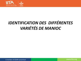 www.iita.orgA member of CGIAR consortium
IDENTIFICATION DES DIFFÉRENTES
VARIÉTÉS DE MANIOC
 