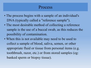 Identification, Forensic Radiology & Odontology | PDF