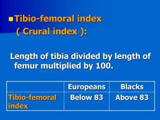 Identification from skeletal remains | PPTX