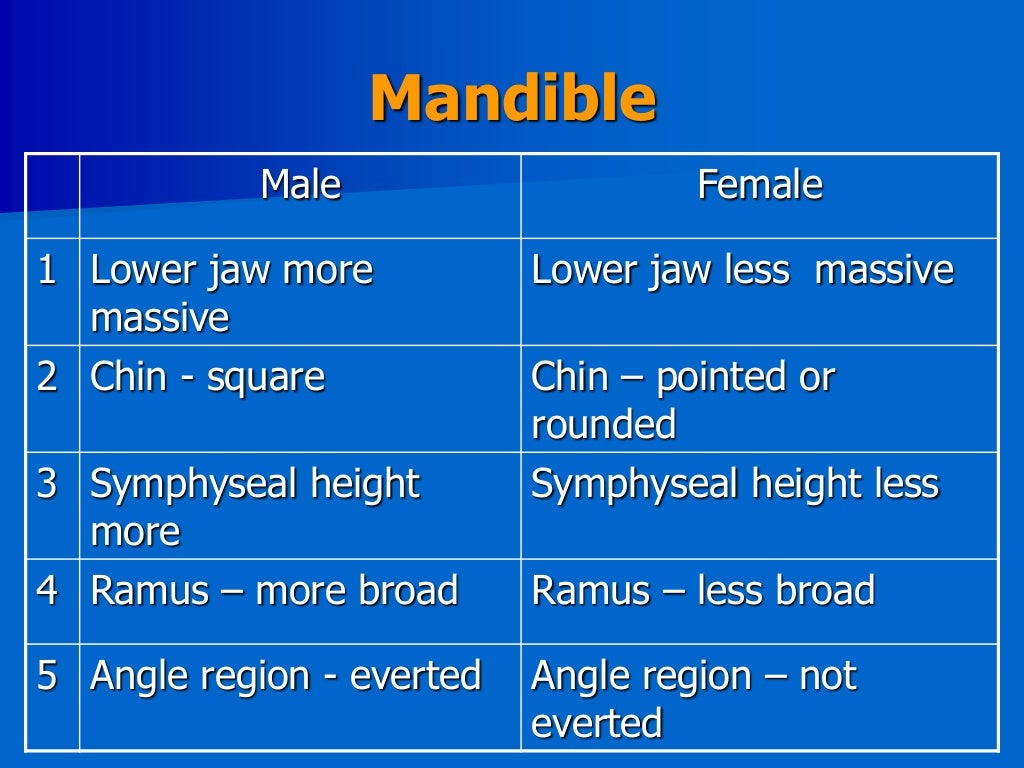How To Identify Skeletal Remains