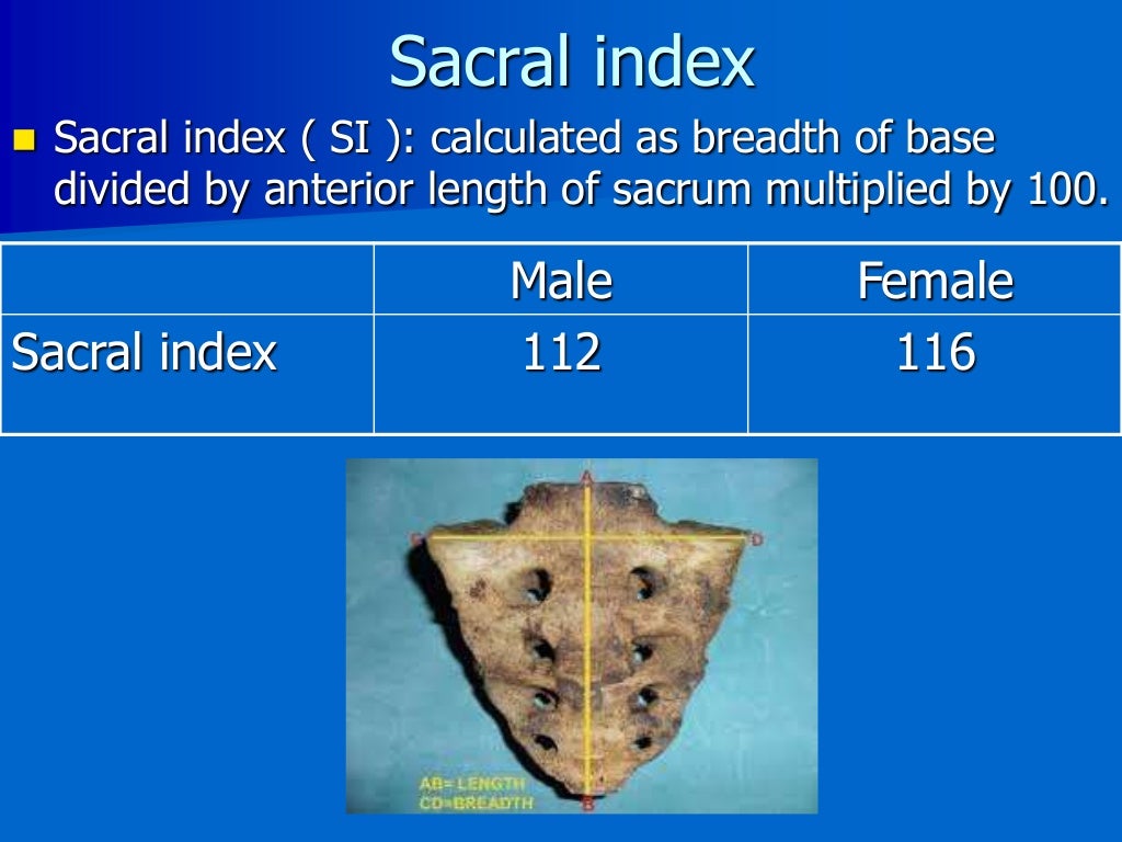 Identification From Skeletal Remains