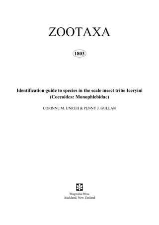 ZOOTAXA
Identification guide to species in the scale insect tribe Iceryini
(Coccoidea: Monophlebidae)
CORINNE M. UNRUH & PENNY J. GULLAN
Magnolia Press
Auckland, New Zealand
1803
 