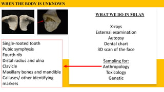 IDENTIFICATION_International medical school.pdf