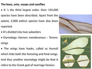 identification keysof different insect orders.pptx