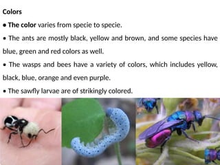 identification keysof different insect orders.pptx