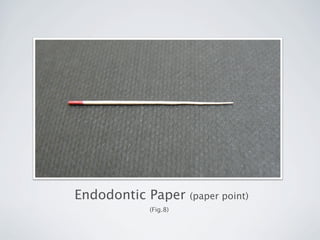 Paper Point Sampling Identification methods for oral microbes | PDF