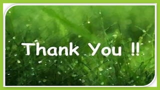 Identification and examination of Algae.