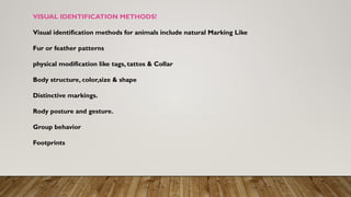 Drawing Identification Methods identification of animal and various methods of identification of ...