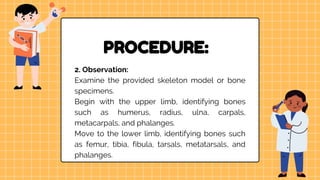 Observing Skeleton Identification of appendicular bones 01.pptx