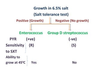 Growth in 6.5% salt (Salt tolerance test) Positive (Growth)  Negative (No growth)  Enterococcus  Group D streptococcus PYR  (+ve)  (-ve) Sensitivity  (R)  (S) to SXT Ability to  grow at 45 0 C  Yes  No 