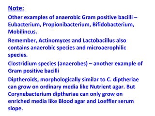 Note: Other examples of anaerobic Gram positive bacilli – Eubacterium, Propionibacterium, Bifidobacterium, Mobilincus. Remember, Actinomyces and Lactobacillus also contains anaerobic species and microaerophilic species.  Clostridium species (anaerobes) – another example of Gram positive bacilli  Diptheroids, morphologically similar to C. diptheriae can grow on ordinary media like Nutrient agar. But Corynebacterium diptheriae can only grow on enriched media like Blood agar and Loeffler serum slope. 