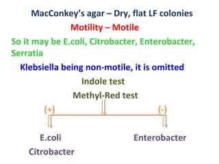 MacConkey’s agar – Dry, flat LF colonies Motility – Motile So it may be E.coli, Citrobacter, Enterobacter,  Serratia Klebsiella being non-motile, it is omitted  Indole test  Methyl-Red test (+)  (-) E.coli  Enterobacter Citrobacter 