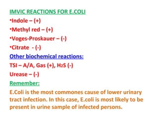 IMVIC REACTIONS FOR E.COLI Indole – (+) Methyl red – (+) Voges-Proskauer – (-) Citrate  - (-) Other biochemical reactions: TSI – A/A, Gas (+), H 2 S (-) Urease – (-) Remember: E.Coli is the most commones cause of lower urinary tract infection. In this case, E.coli is most likely to be present in urine sample of infected persons. 
