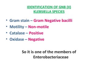 IDENTIFICATION OF GNB (II) KLEBSIELLA SPECIES Gram stain –  Gram Negative bacilli  Motility –  Non-motile   Catalase –  Positive   Oxidase –  Negative  So it is one of the members of Enterobacteriaceae 