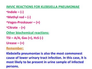 IMVIC REACTIONS FOR KLEBSIELLA PNEUMONIAE Indole – (-) Methyl red – (-) Voges-Proskauer – (+) Citrate  - (+) Other biochemical reactions: TSI – A/A, Gas (+), H 2 S (-) Urease – (+) Remember: Klebsiella pneumoniae is also the most commonest cause of lower urinary tract infection. In this case, it is most likely to be present in urine sample of infected persons. 