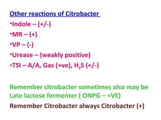 Other reactions of Citrobacter  Indole – (+/-) MR – (+) VP – (-) Urease – (weakly positive) TSI – A/A, Gas (+ve), H 2 S (+/-) Remember citrobacter sometimes also may be Late lactose fermenter ( ONPG – +VE) Remember Citrobacter always Citrobacter (+) 