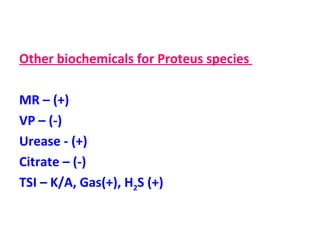 Other biochemicals for Proteus species  MR – (+) VP – (-) Urease - (+) Citrate – (-) TSI – K/A, Gas(+), H 2 S (+) 