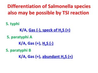 Differentiation of Salmonella species also may be possible by TSI reaction  S. typhi  K/A,  Gas (-), speck of H 2 S (+) S. paratyphi A  K/A, Gas (+),  H 2 S (-) S. paratyphi B  K/A, Gas (+),  abundant H 2 S (+) 