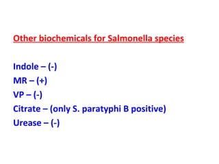 Other biochemicals for Salmonella species Indole – (-) MR – (+) VP – (-) Citrate – (only S. paratyphi B positive) Urease – (-) 