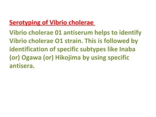 Serotyping of Vibrio cholerae  Vibrio cholerae 01 antiserum helps to identify Vibrio cholerae O1 strain. This is followed by identification of specific subtypes like Inaba (or) Ogawa (or) Hikojima by using specific antisera. 