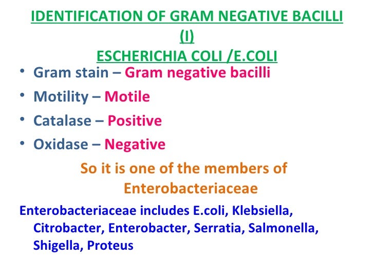 What are some ways to identify Gram-negative bacteria?