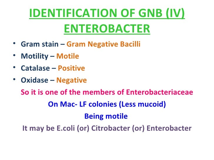 identification of an unknown bacterial species Before going over the tests to identify an unknown bacterial species, we should remember some bases of manipulating bacteria it is important to always keep in mind that your unknown species. identification of an unknown bacterial species Before going over the tests to identify an unknown bacterial species, we should remember some bases of manipulating bacteria it is important to always keep in mind that your unknown species.