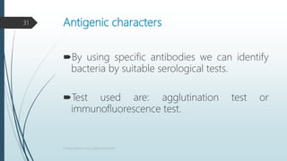 Identification of bacteria | PPTX