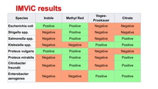 Identification of bacteria | PPTX