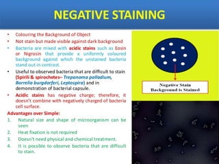 IDENTIFICATION OF BACTERIA.pdf