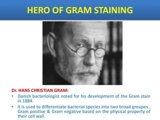 IDENTIFICATION OF BACTERIA.pdf