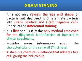 IDENTIFICATION OF BACTERIA.pdf