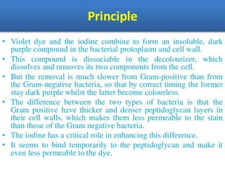 IDENTIFICATION OF BACTERIA.pdf