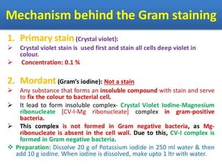 IDENTIFICATION OF BACTERIA.pdf
