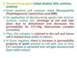 IDENTIFICATION OF BACTERIA.pdf