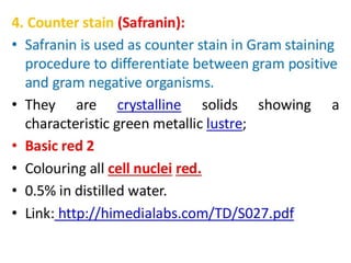 IDENTIFICATION OF BACTERIA.pdf