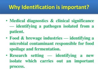 IDENTIFICATION OF BACTERIA.pdf