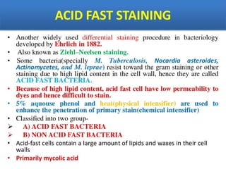 IDENTIFICATION OF BACTERIA.pdf