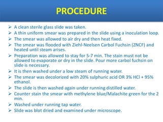 IDENTIFICATION OF BACTERIA.pdf