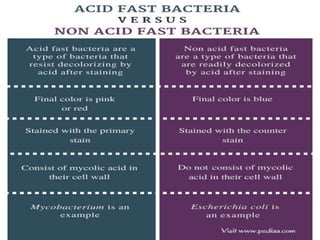 IDENTIFICATION OF BACTERIA.pdf