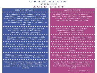 IDENTIFICATION OF BACTERIA.pdf