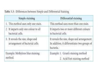 IDENTIFICATION OF BACTERIA.pdf