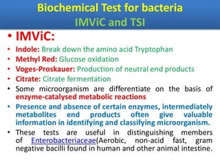 IDENTIFICATION OF BACTERIA.pdf