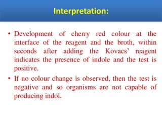 IDENTIFICATION OF BACTERIA.pdf