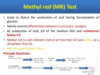 IDENTIFICATION OF BACTERIA.pdf