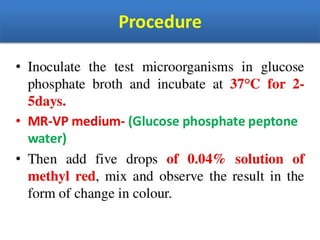 IDENTIFICATION OF BACTERIA.pdf
