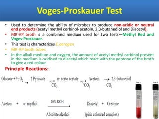 IDENTIFICATION OF BACTERIA.pdf