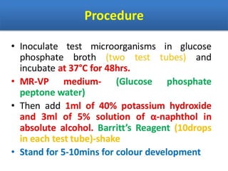 IDENTIFICATION OF BACTERIA.pdf
