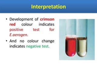 IDENTIFICATION OF BACTERIA.pdf